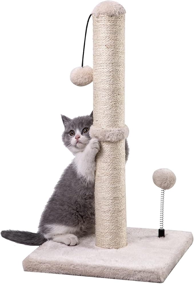 MECOOL Kitten Scratching Post 22"