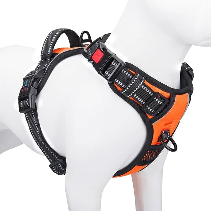 PHOEPET No-Pull Harness, Medium