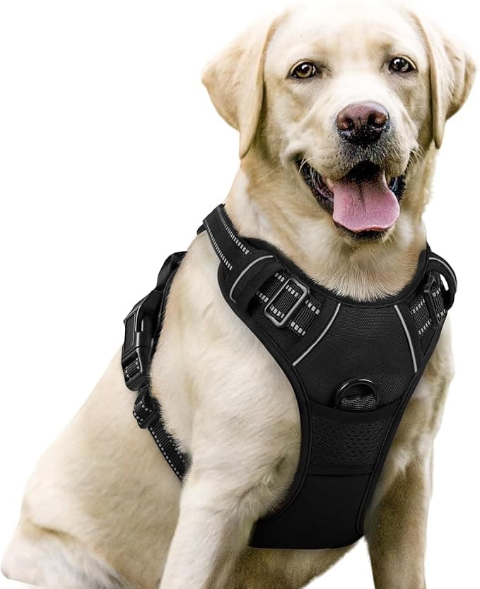 rabbitgoo No-Pull Harness, Large